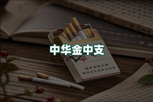 中华金中支